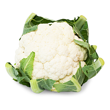 Blumenkohl Blumenkohl von Thekla Göpel GmbH