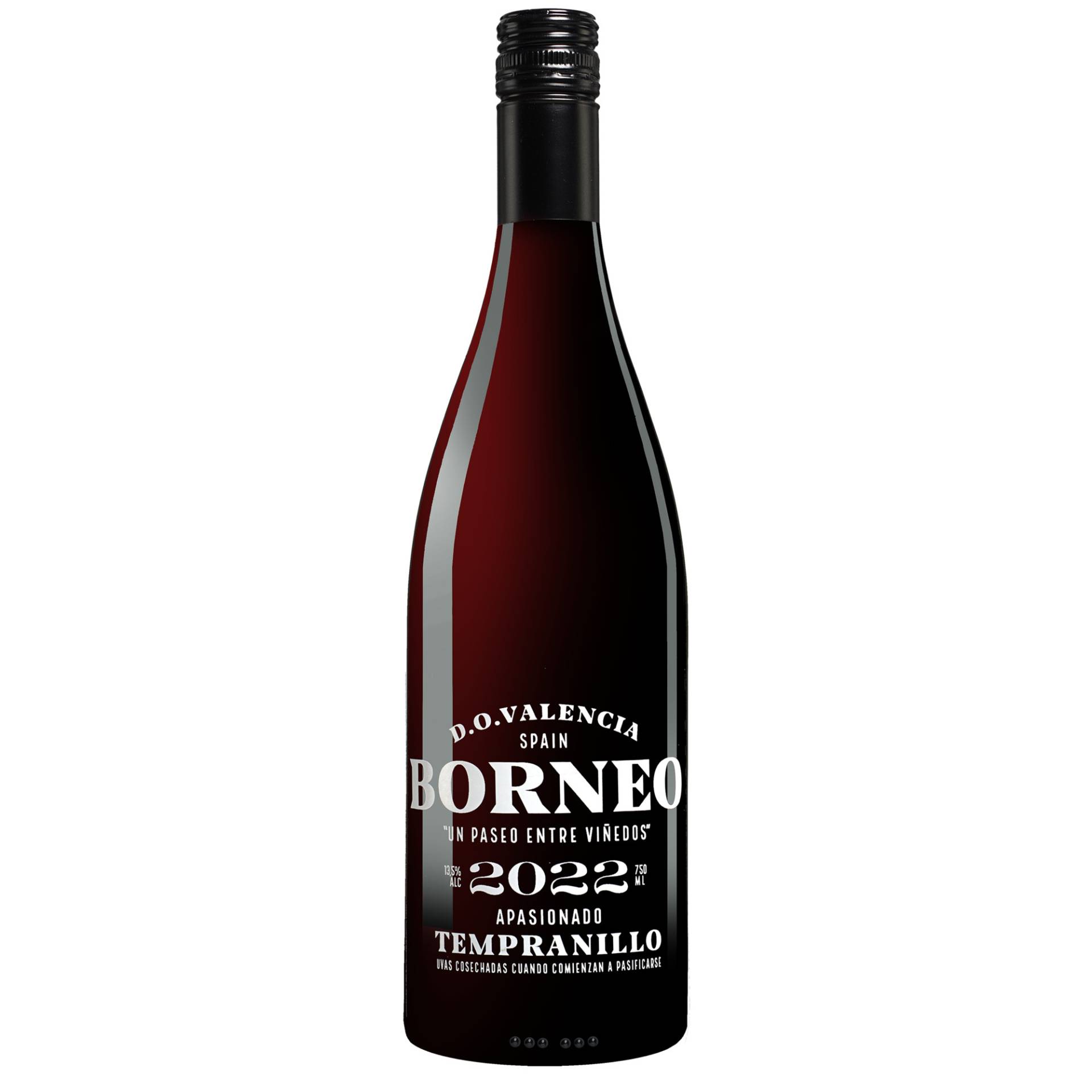 Borneo Apasionado 2022  0.75L 13.5% Vol. Rotwein Halbtrocken aus Spanien von Hammeken Cellars