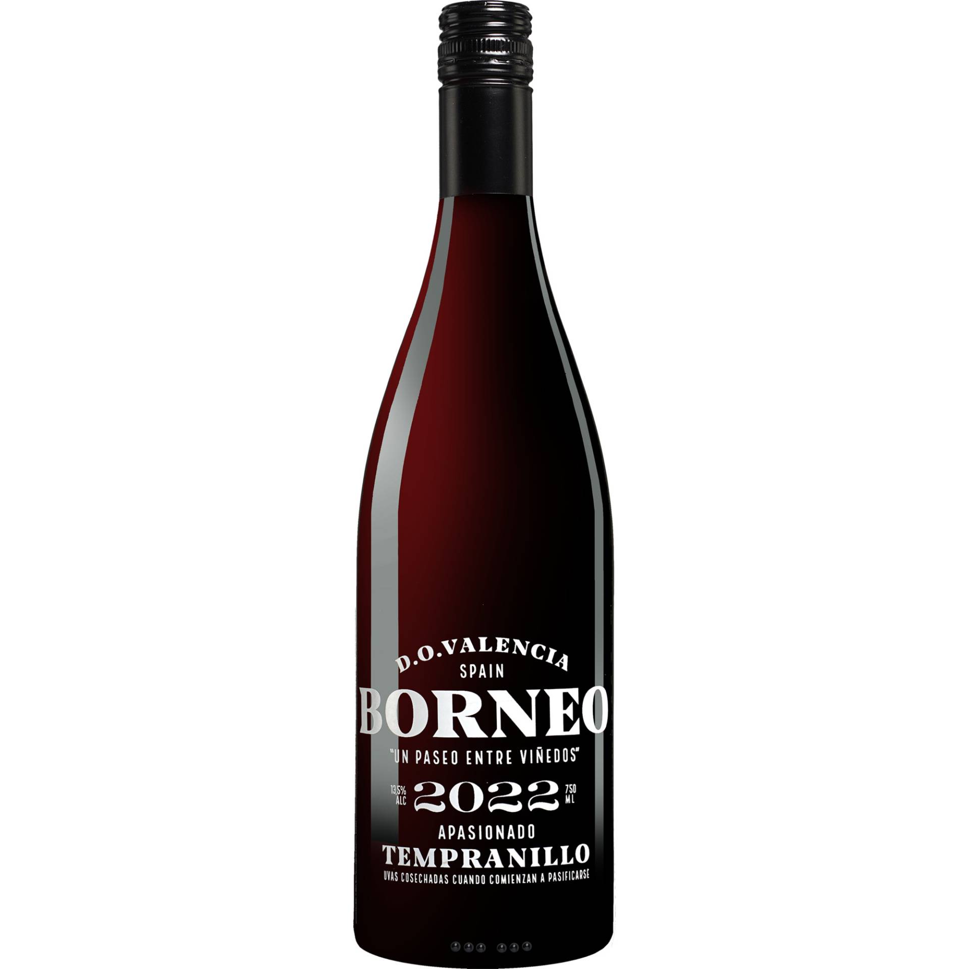 Borneo Apasionado 2022  0.75L 13.5% Vol. Rotwein Halbtrocken aus Spanien von Hammeken Cellars