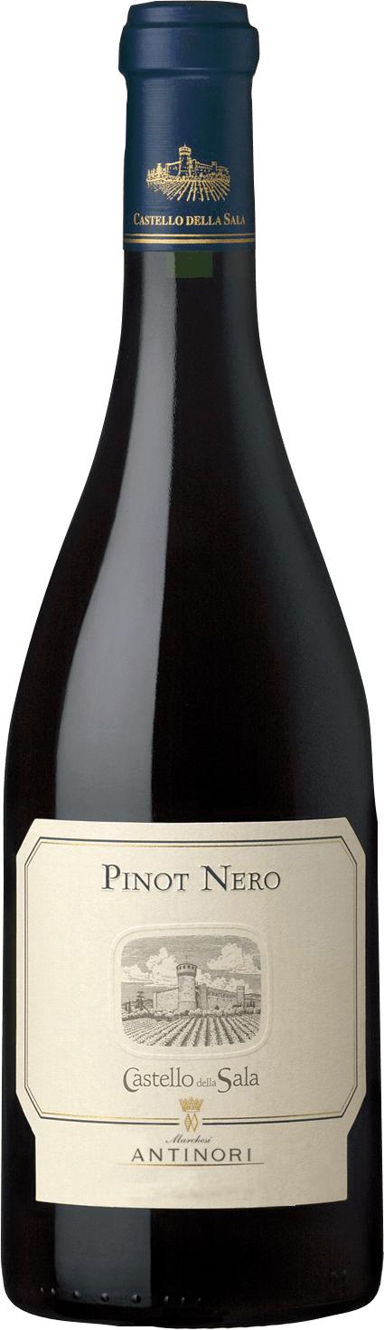 Castello della Sala Pinot Nero Umbria - 2022