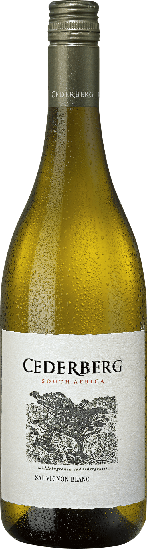 Cederberg Sauvignon Blanc - 2024