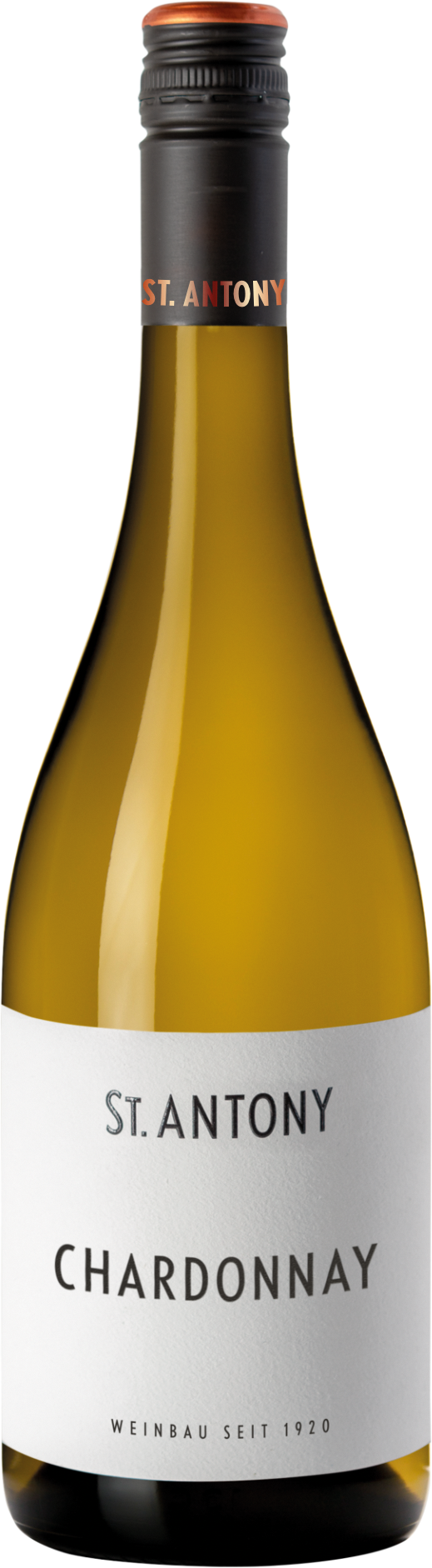 Chardonnay - 2023