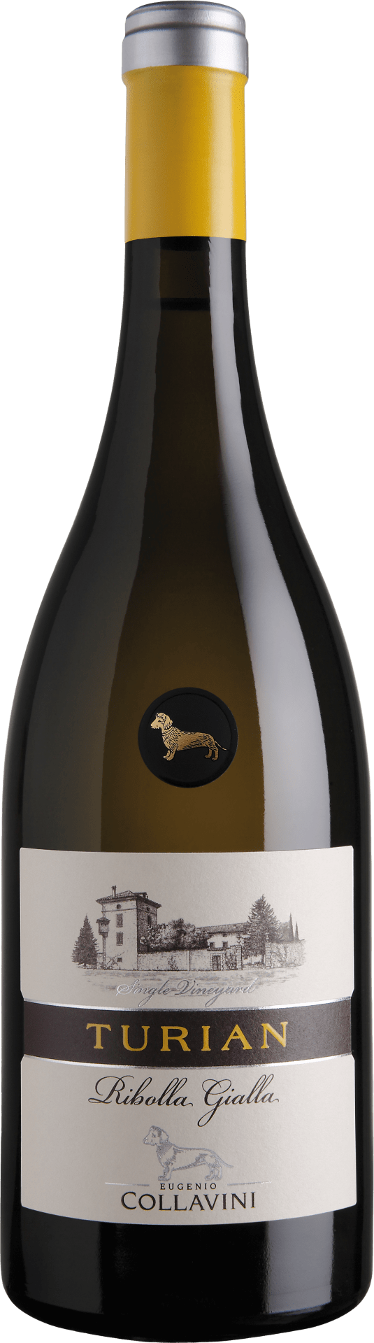 Collavini Turian Ribolla Gialla Friuli Colli Orientali - 2020