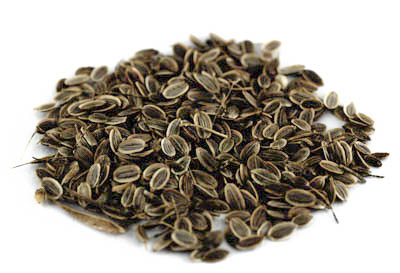 Dillsamen BIO, ganz 500g Dillsamen BIO, ganz 500g
