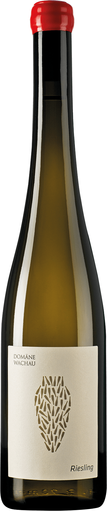 Domäne Wachau Riesling Amphora - 2022 Domäne Wachau Riesling Amphora - 2022