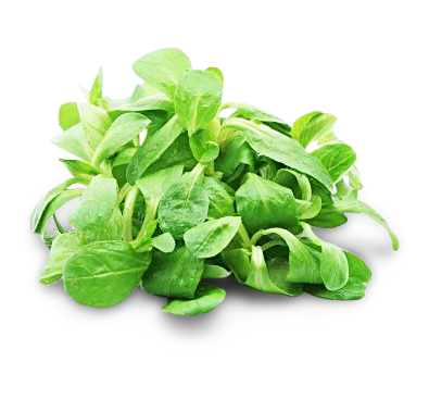 Feldsalat von Gemüsebau Weißenberger