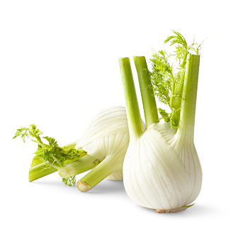 Fenchel von Richard Ostermeier GmbH