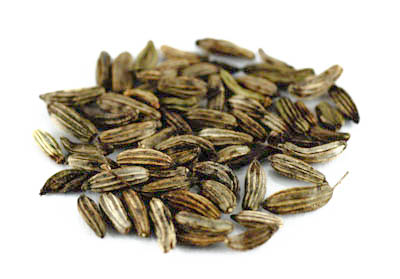 Fenchel braun bitter BIO ganz, 1kg