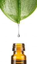 Glykols?ure 70%ig, 50ml Glykols?ure 70%ig, 50ml