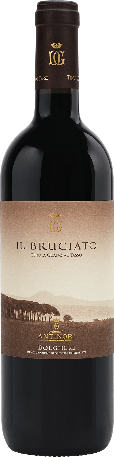Guado al Tasso Il Bruciato Bolgheri - 2022