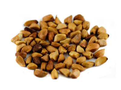 Hagebuttenkerne ganz BIO, 5kg Hagebuttenkerne ganz BIO, 5kg