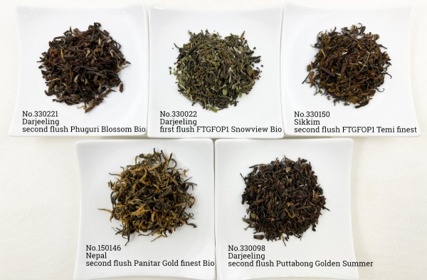 Himalaya-Set - Die edlen Tees vom Dach der Welt, Version 2