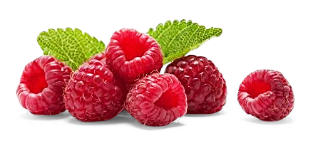 Himbeeren Himbeeren von F.X. Sämmer GmbH