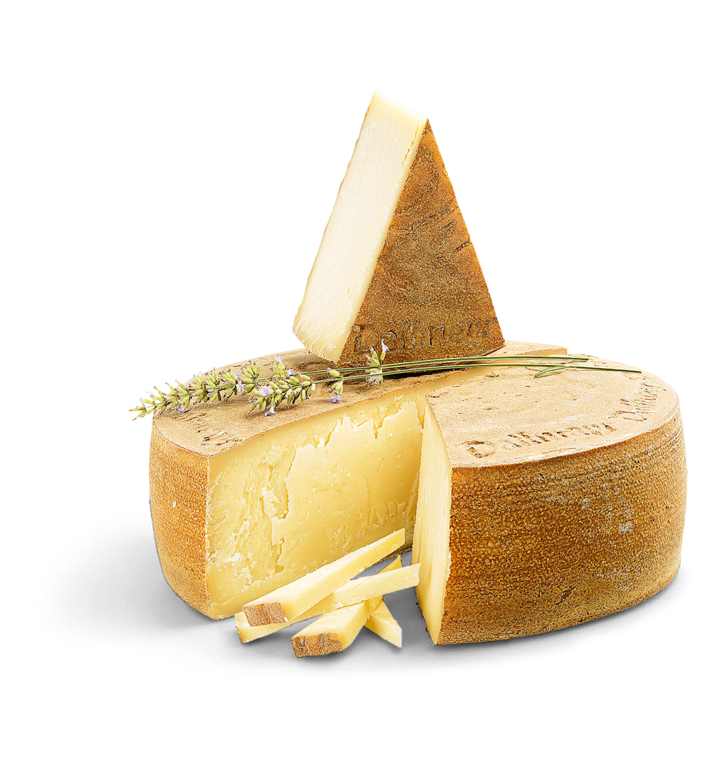 Hoflieferantenlaib Rohmilch, mind. 50% Fett i. Tr. Hoflieferantenlaib Rohmilch, mind. 50% Fett i. Tr. von Alois Dallmayr KG