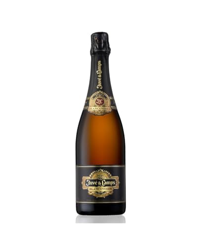 Juvé y Camps Cava Blanc de Noirs Pinot Noir Brut Reserva 2010