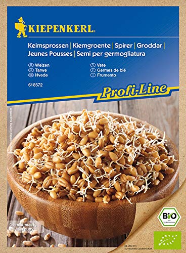 Kiepenkerl Bio-Keimsprossen Weizen- 75 g Pack Kiepenkerl Bio-Keimsprossen Weizen- 75 g Pack von Kiepenkerl