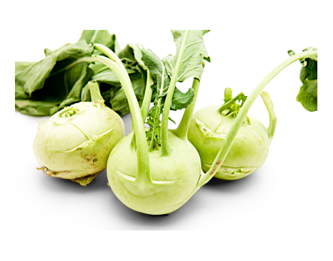 Kohlrabi von Thekla Göpel GmbH