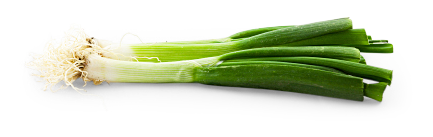 Lauchzwiebel von K.u.A. Rittner GmbH