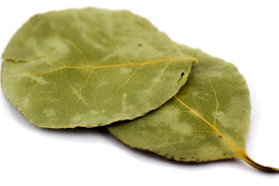 Lorbeerblätter BIO 50g Lorbeerblätter BIO 50g