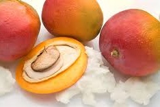 Mangobutter raffiniert, 1000g