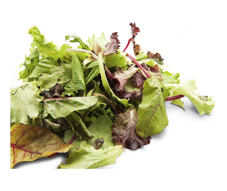 Mischsalat Dallmayr Mischsalat Dallmayr von Thekla Göpel GmbH