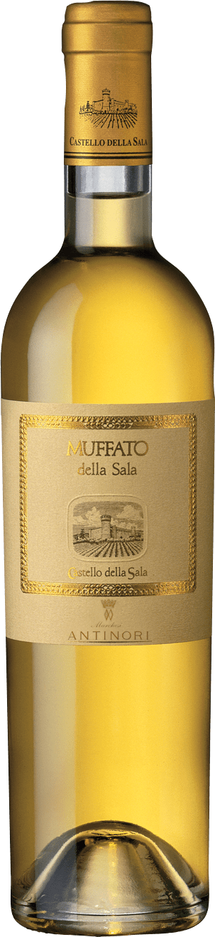 Muffato della Sala Umbria - 2022 Muffato della Sala Umbria - 2022