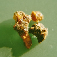 Opopanax 50g Opopanax 50g