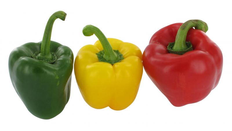 Paprika Mix -3 Stück Paprika Mix -3 Stück