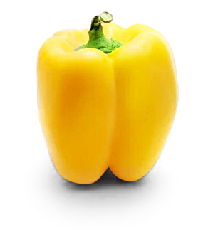 Paprika gelb/orange Paprika gelb/orange von Gemüsebau Weißenberger