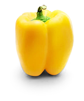 Paprika gelb/orange von Gemüsebau Weißenberger
