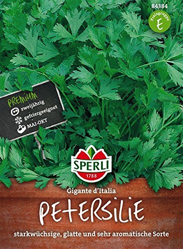 Petersilie, Gigante d'Italia Petersilie, Gigante d'Italia von TOM-GARTEN