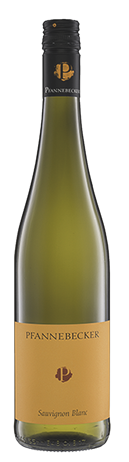 Pfannebecker Sauvignon Blanc - 2023