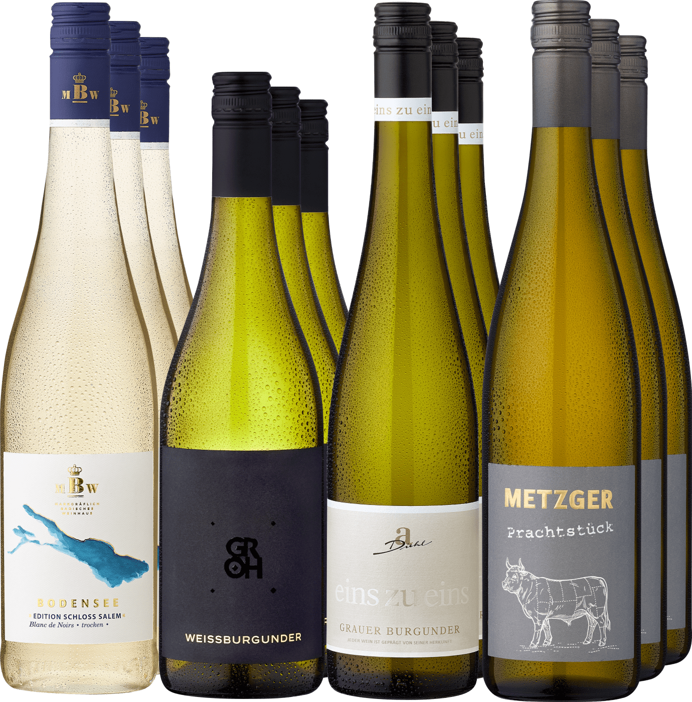 12er-Probierpaket »Burgundervielfalt« 12er-Probierpaket »Burgundervielfalt« von Ludwig von Kapff GmbH