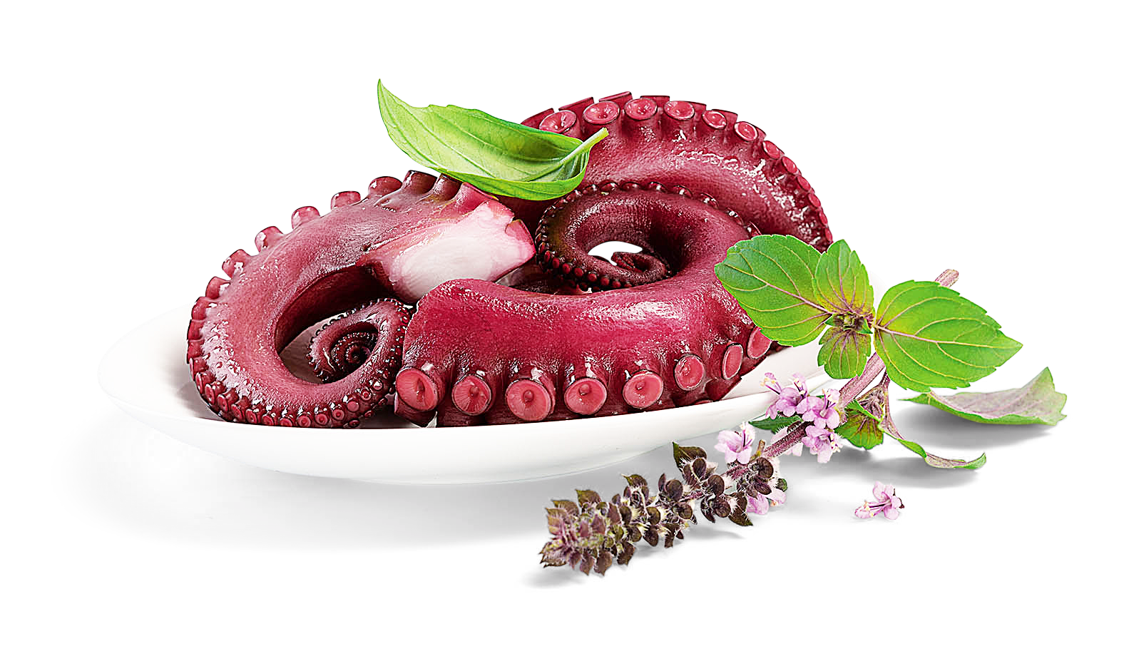 Pulpo gekocht Pulpo gekocht von Alois Dallmayr KG