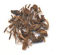 Pygeum africanum Rinde, gemahlen 500g