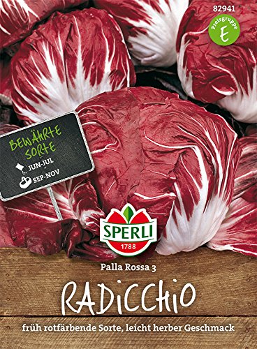 Radicchio, Palla Rossa 2 von TOM-GARTEN