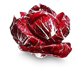 Radicchio von Thekla Göpel GmbH