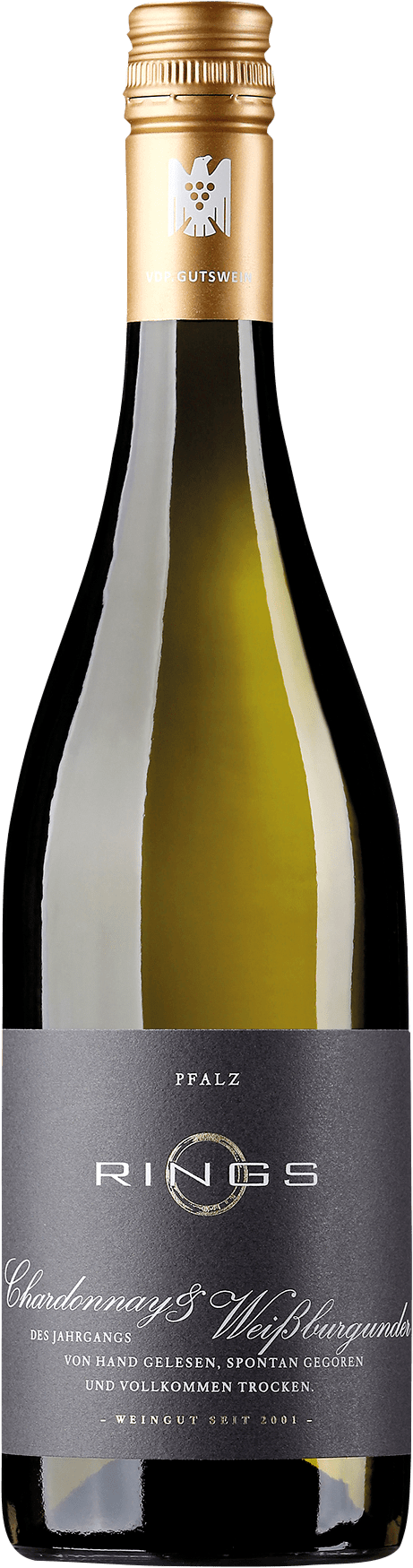 Rings Chardonnay & Weissburgunder Qualitätswein trocken - 2024 Rings Chardonnay & Weissburgunder Qualitätswein trocken - 2024