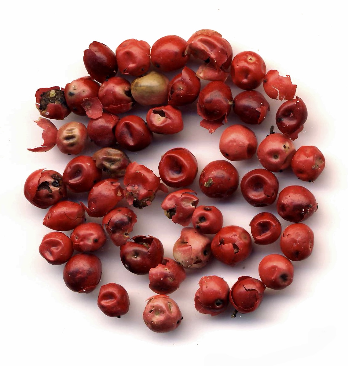 Rosa Beeren 50g Rosa Beeren 50g