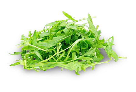Rucola Salat Rucola Salat von K.u.A. Rittner GmbH