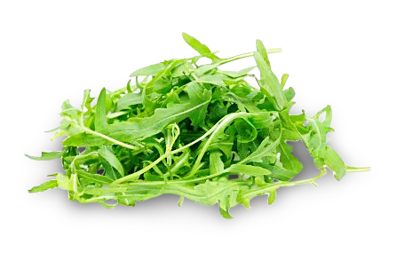 Rucola Salat von K.u.A. Rittner GmbH