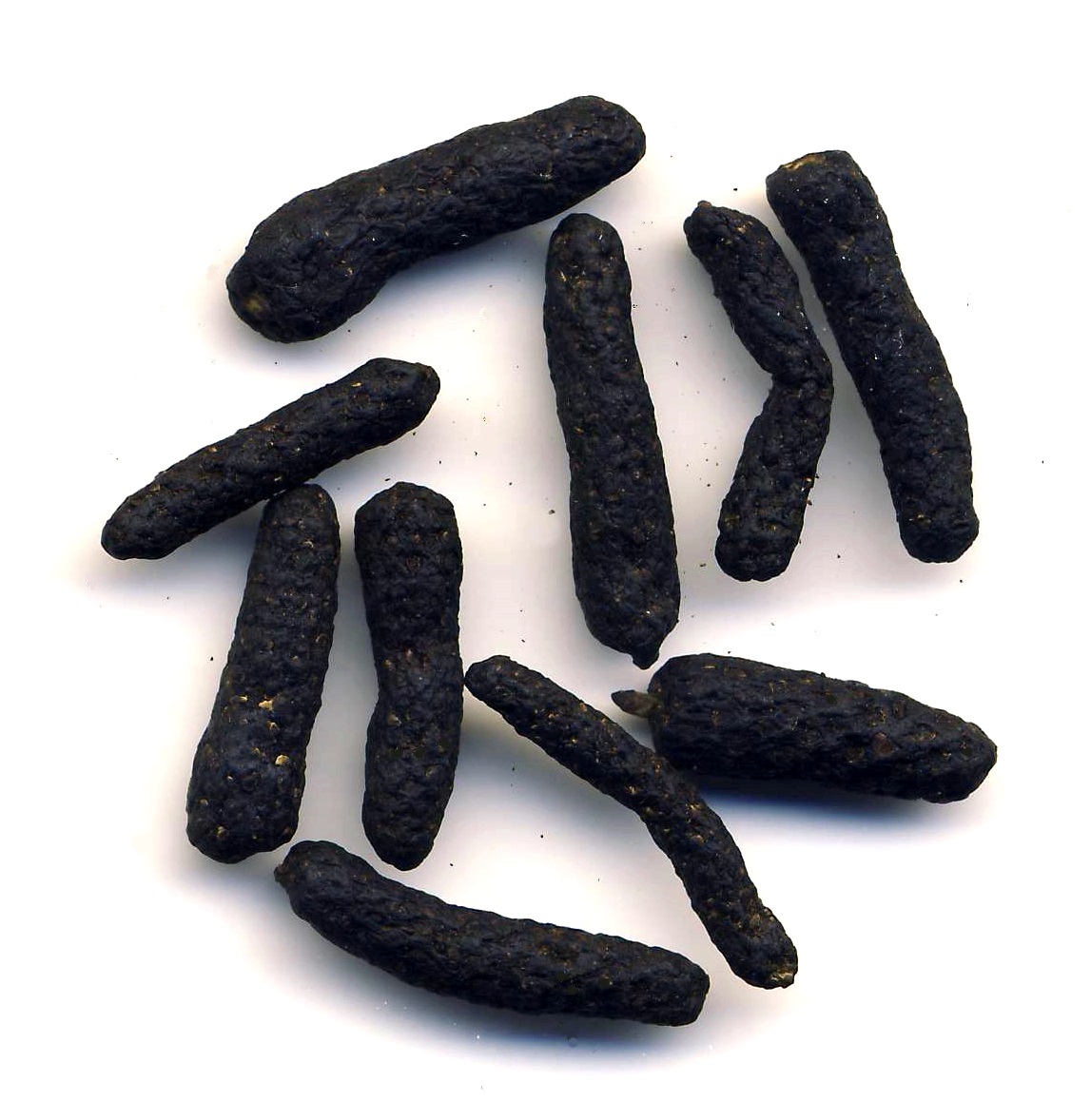 Schokoladenpfeffer BIO Wildsammlung, 250g ganz Schokoladenpfeffer BIO Wildsammlung, 250g ganz