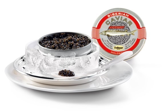Siberian Malossol Caviar Signature 100g Selektion Dallmayr von Altonaer Kaviar Import Haus