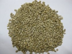 Sonnenblumenkerne, geschält 2,5 kg von Classic
