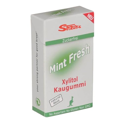Styrum`s Bio Mint Fresh Zahnpflege Kaugummi (24 x 33 gr)