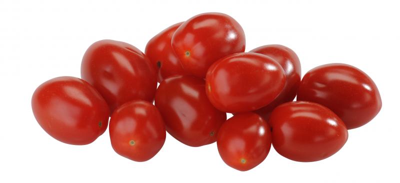 Tomaten Zwerge