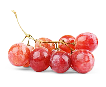 Traube rose kernlos Traube rose kernlos von Früchtewelt GmbH