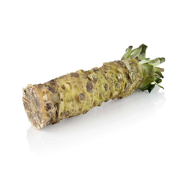 Wasabi, frisch, ganz, UK, ca.50 g