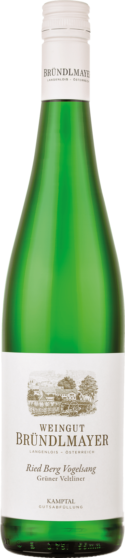 Weingut Bründlmayer Grüner Veltliner Berg Vogelsang - 2023 Weingut Bründlmayer Grüner Veltliner Berg Vogelsang - 2023