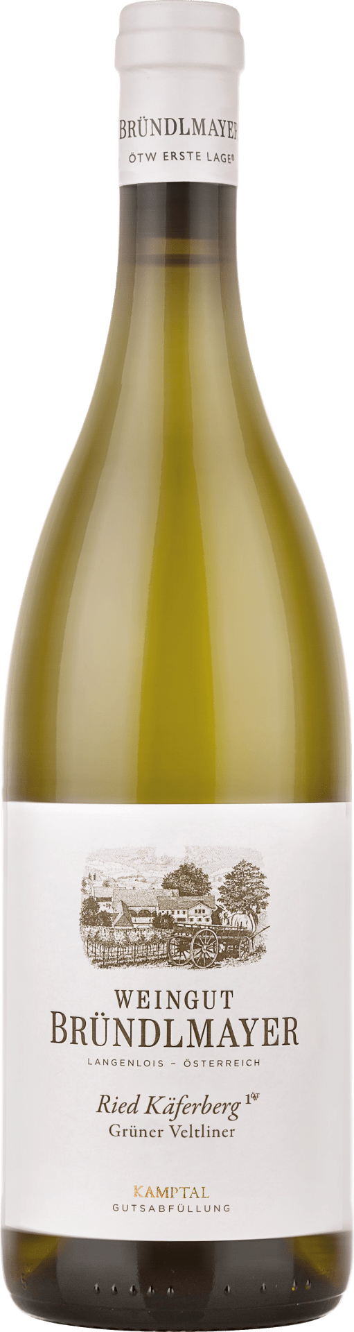 Weingut Bründlmayer Grüner Veltliner Käferberg Kamptal DAC 1ÖTW Lage - 2020 Weingut Bründlmayer Grüner Veltliner Käferberg Kamptal DAC 1ÖTW Lage - 2020
